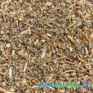 Mentha aquatica rohstoff 01