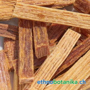 Pinus chiapensis rohstoff 01