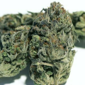 silver cream holy shit biologisch indoor hanfblueten 01